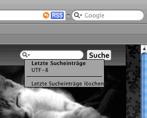 Suchfeld in Safari 3