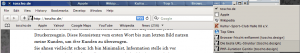 Safari 4: Tab-Orgie