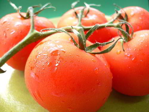 Tomaten